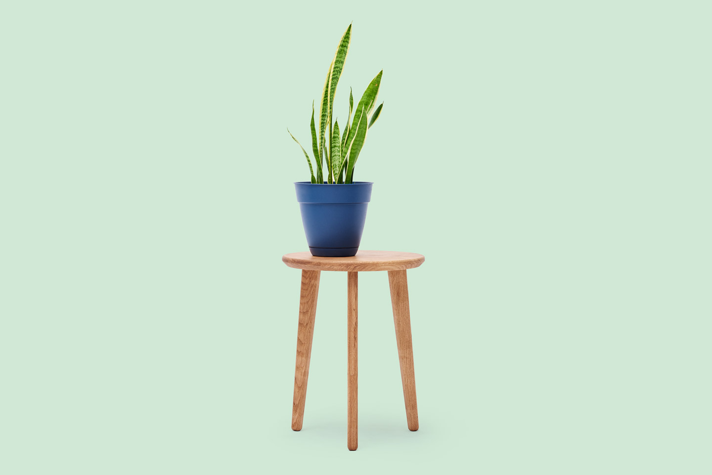 Stool